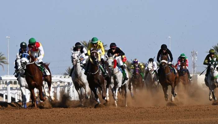 Oman’s Equestrian Sports: A Thriving Tradition with Global Ambitions