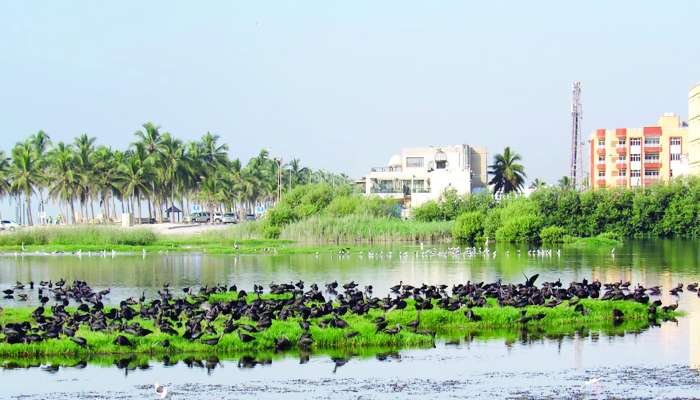 Oman Marks World Wetlands Day with Emphasis on Conservation Efforts